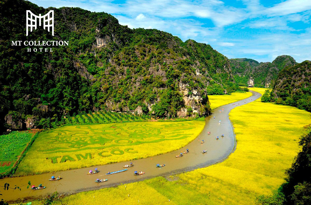 Kinh nghiệm du lịch Tam Cốc Bích Động