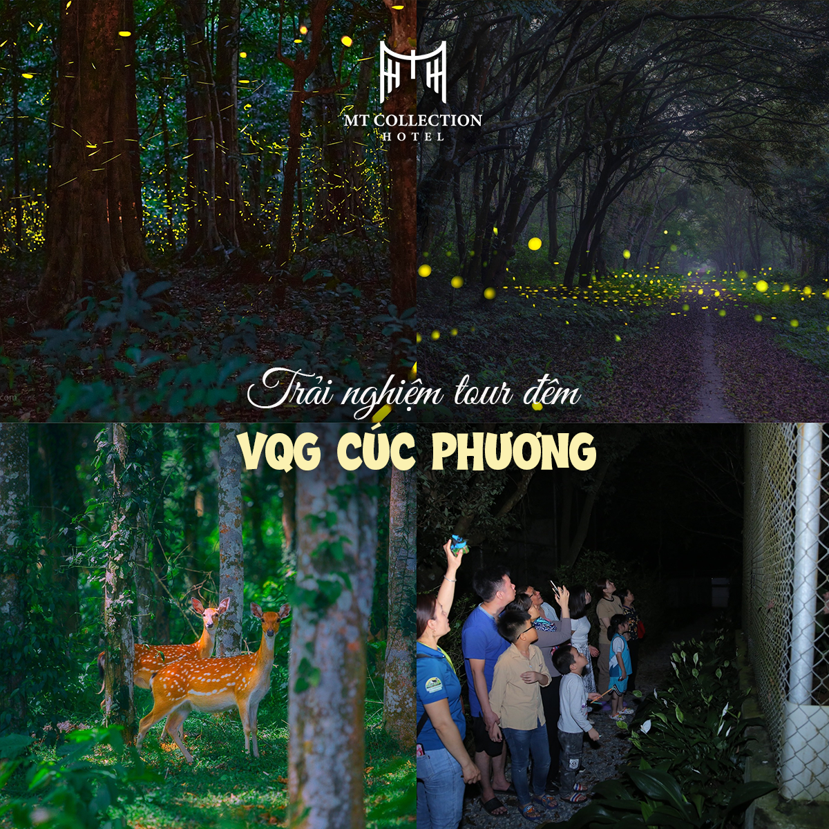 ăn gì chơi gì ở Ninh Bình về đêm