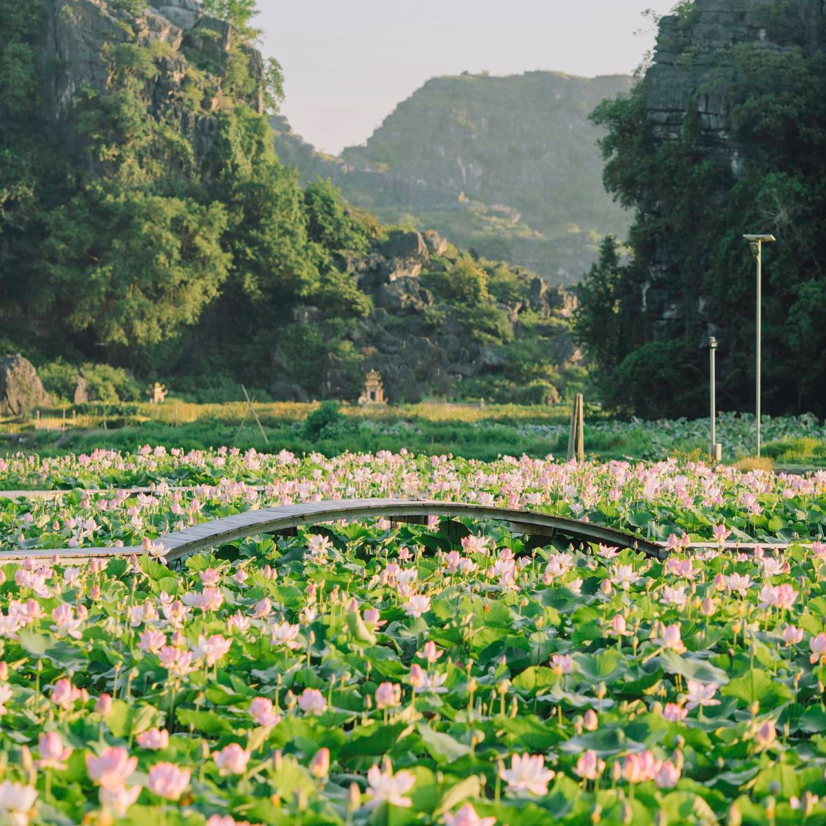 du lịch Ninh Bình mùa nào đẹp